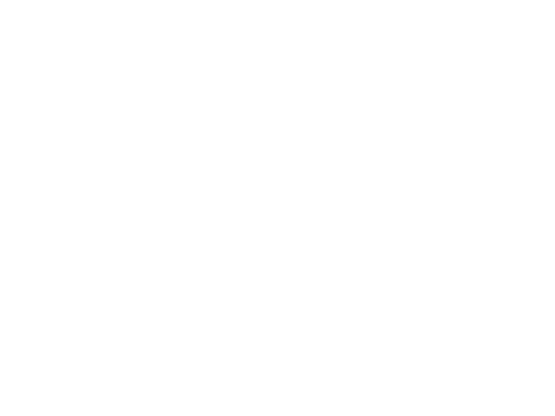 LOGO LMI